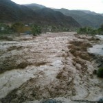 photo_2016-04-13_12-47-12