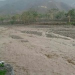 photo_2016-04-13_12-48-13