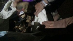 خليه ارهابيه9