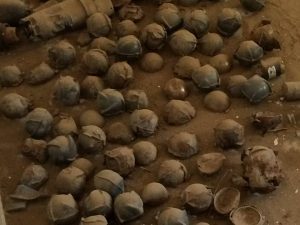 14595744_1336428866369652_8397481215262858522_n