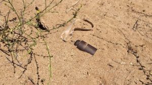 14910536_1336429096369629_3856184884577936763_n